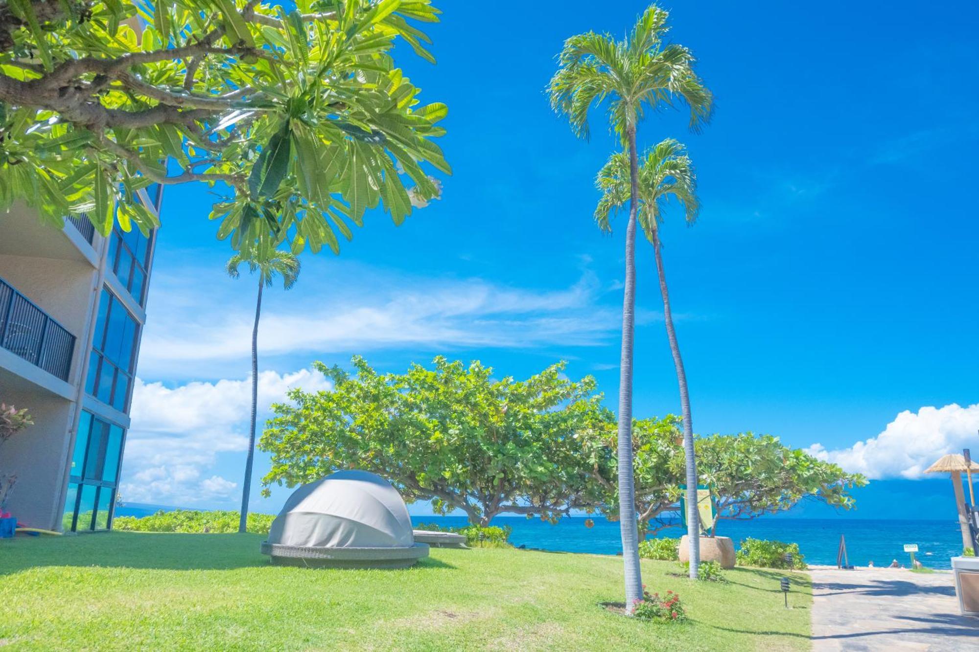 Maui Westside Presents: Kaanapali Shores 733 Stunning Ocean Views New Listing Lahaina Exterior photo